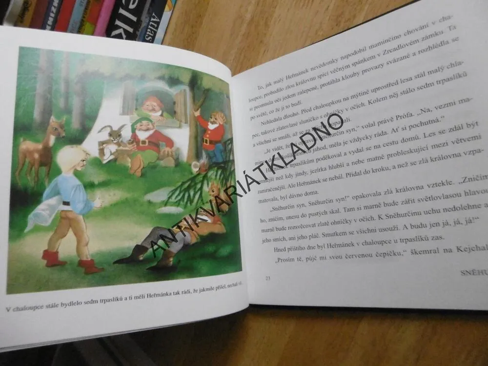 VELKÝ PRŮVODCE DIETAMI,JUDITH C. RODRIGUEZOVÁ, **an