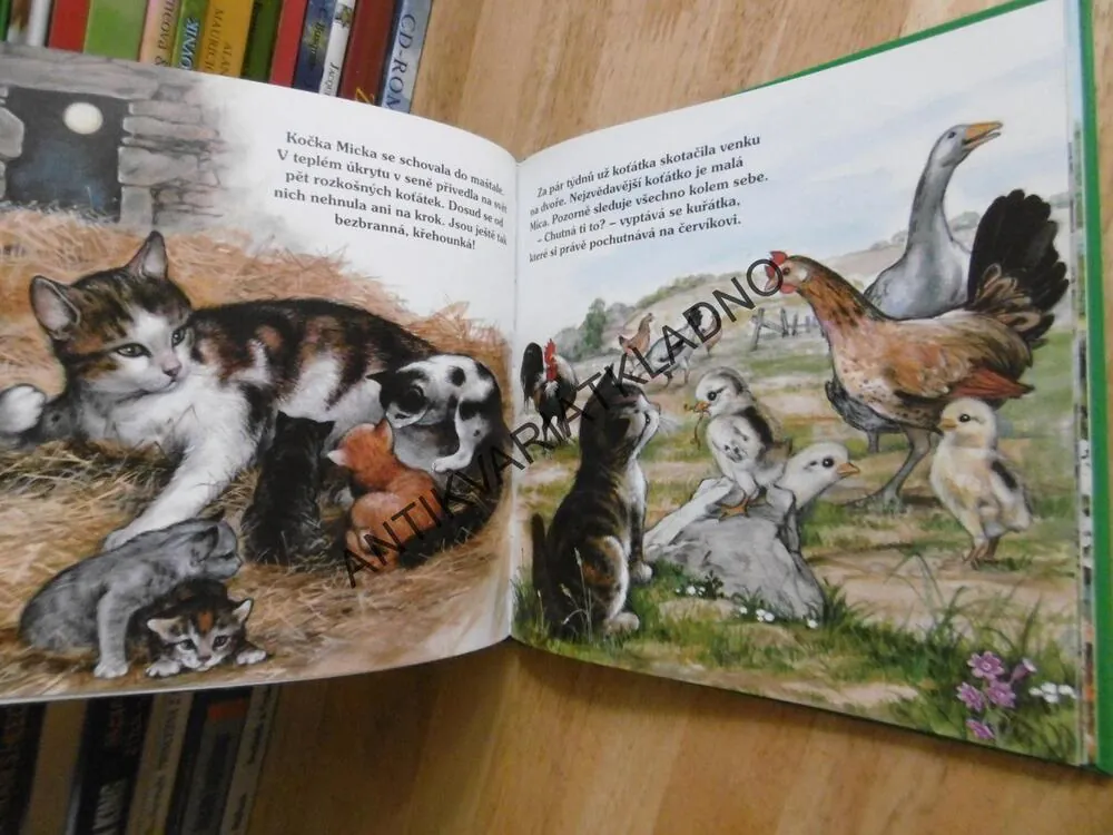 PO STOPÁCH, ŠTĚNÁTKA, KOŤÁTKA A KŮZLÁTKA, **AN