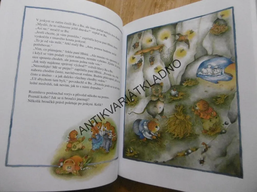 ZVĚDAVÍ MEDVÍDCI HLEDAJÍ POKLAD, CHRISTINE RETTLOVÁ, MARION KRATCHMEROVÁ, **an