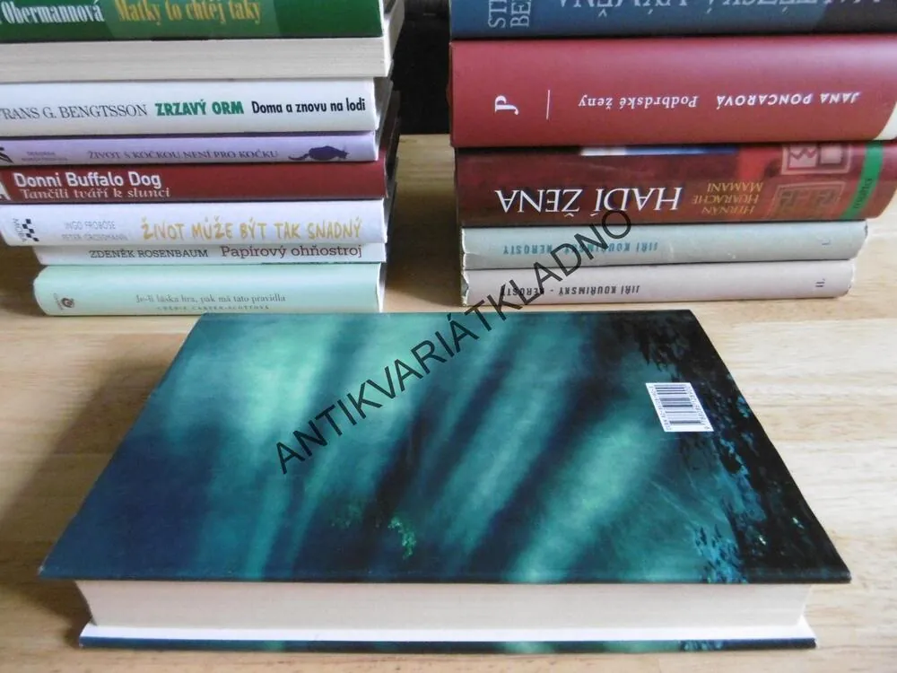 PRÁZDNÉ KŘESLO, JEFFERY DEAVER, **an