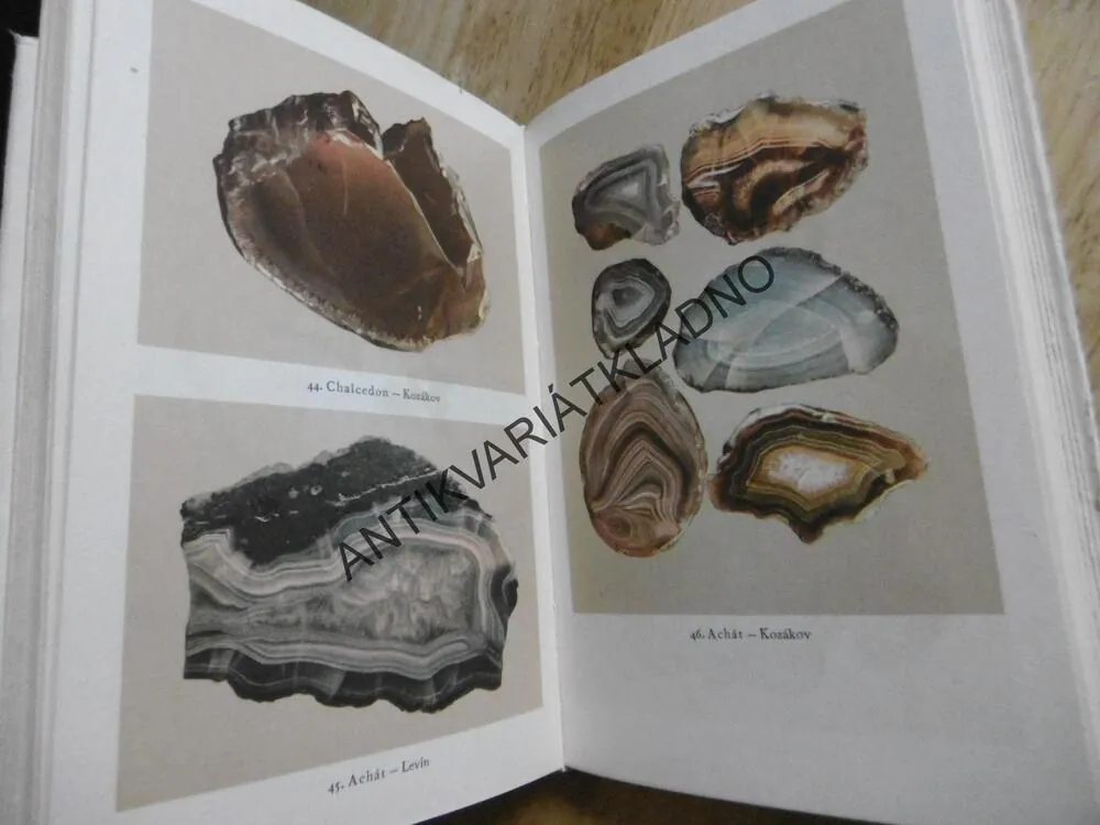 NEROSTY, 1-2. JIŘÍ KOUŘIMSKÝ, **an