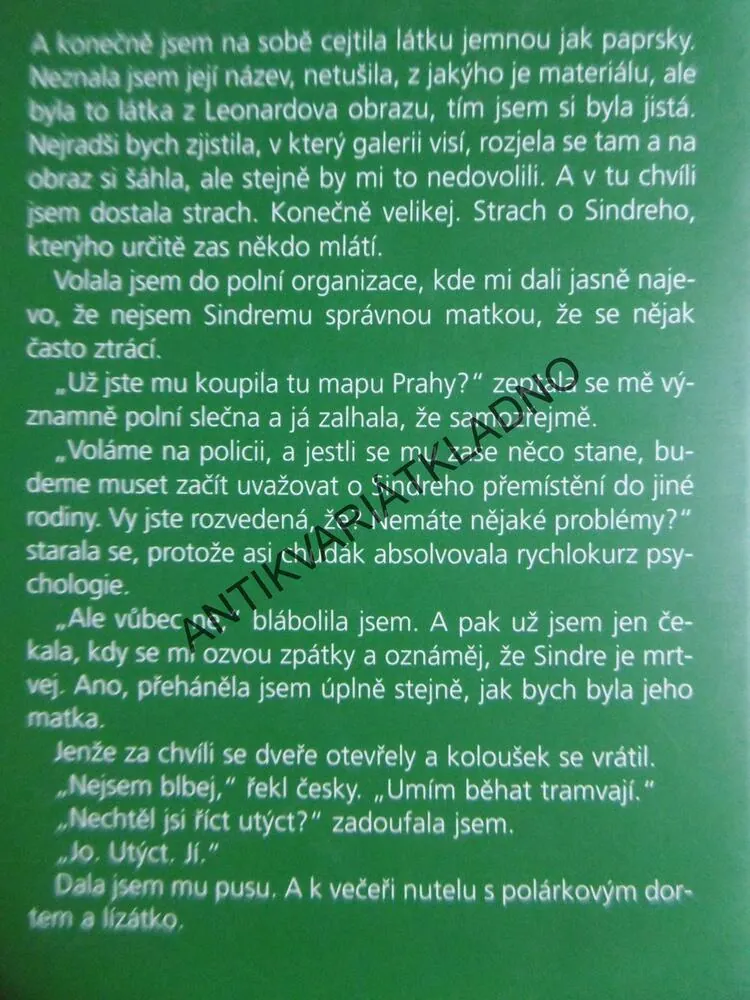 MATKY TO CHTĚJ TAKY, IRENA OBERMANNOVÁ, **an