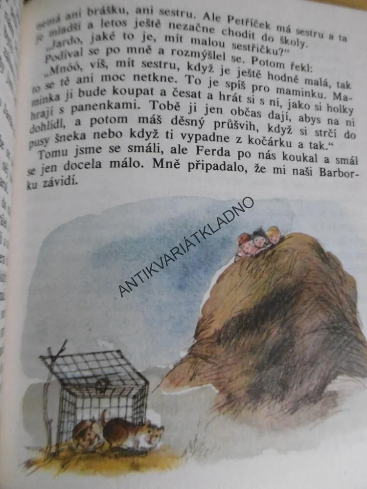 SESTŘIČKA PĚKNÁ TŘI KILA TŘICET, ŘÍPA, KREJČOVÁ