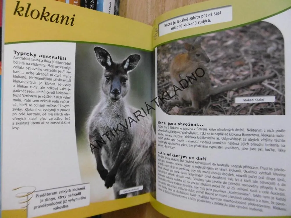 OHROŽENÁ ZVÍŘATA, OBYVATELÉ MOŘÍ A OCEÁNŮ, TROPCKÝCH LESŮ, HIOR, SAVAN A STEPÍ, POUŠTÍ A POLÁRNÍCH OBLASTI, **an