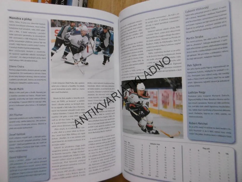 ČEŠI A SLOVÁCI V DĚJINÁCH NHL, KAREL KNAP, LEDNÍ HOKEJ, **an