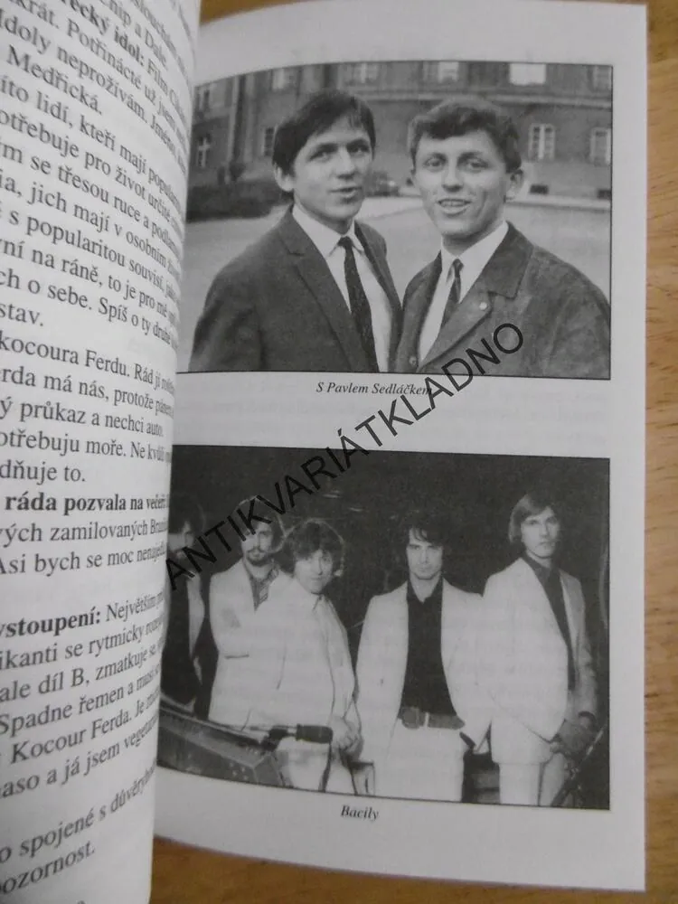 ZATÍM TAJNÉ,HANKA KOUSALOVÁ, MARTIN HRDINKA, **an