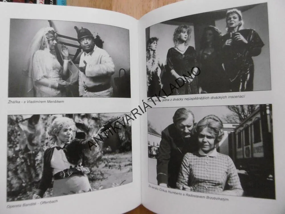 HOLKA NA ZABITÍ - DAGMAR VEŠKRNOVÁ-HAVLOVÁ, JAN BAUER, **an