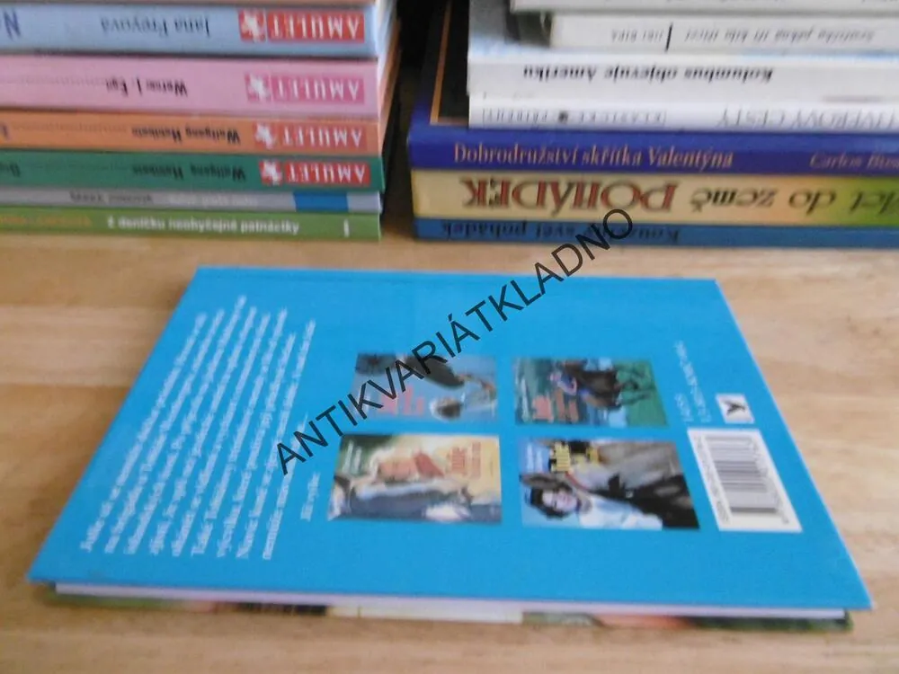 JULIE NA PRÁZDNINÁCH, CHRISTIANE GOHLOVÁ, **an