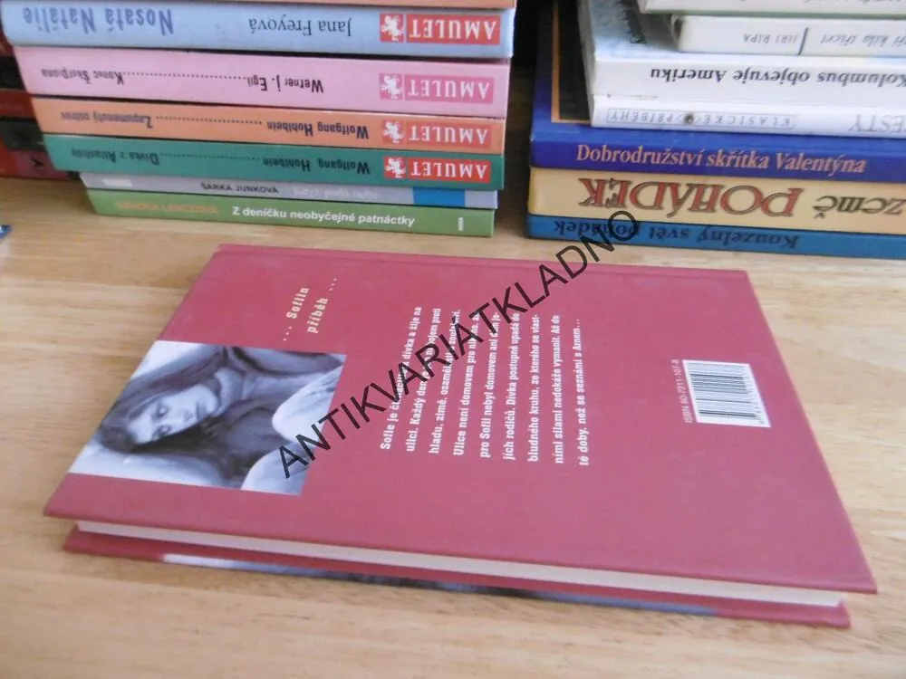 FALEŠNÁ VOLNOST, JANA FREY, **an
