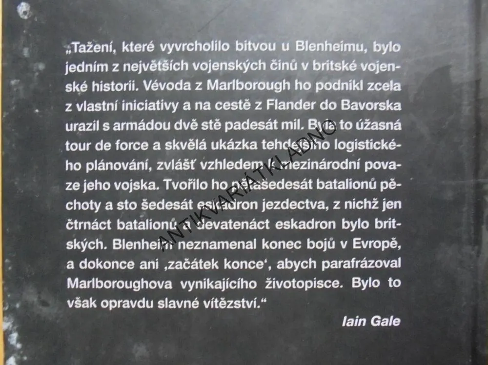 MUŽ CTI, JACK STEEL:ZA KRÁLOVNU A VLAST,IAIN GALE