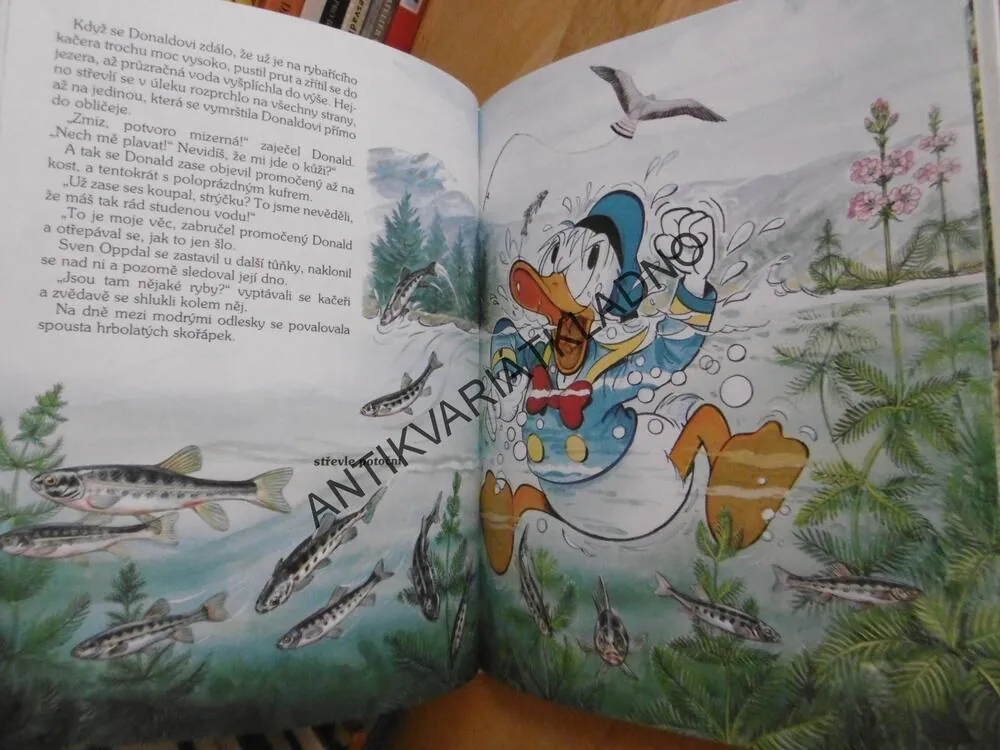 WALT DISNEY, CESTY LOSOSŮ, **AN