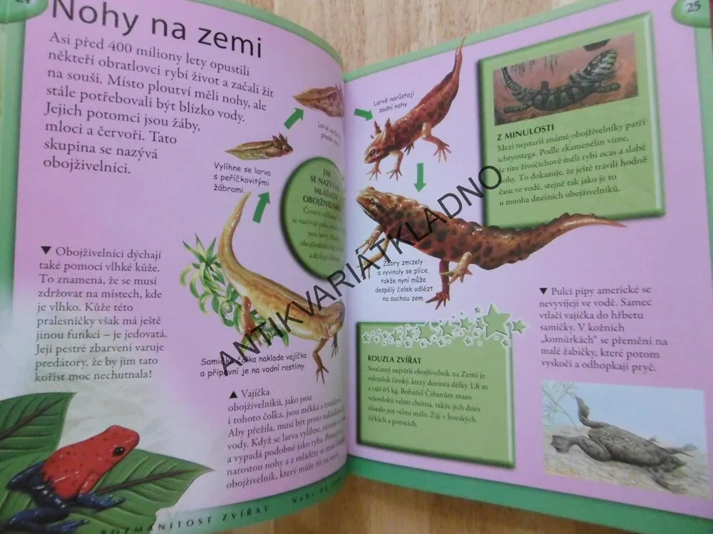 VŠE CO BYSTE MĚLI VĚDĚT O ZVÍŘATECH, **an