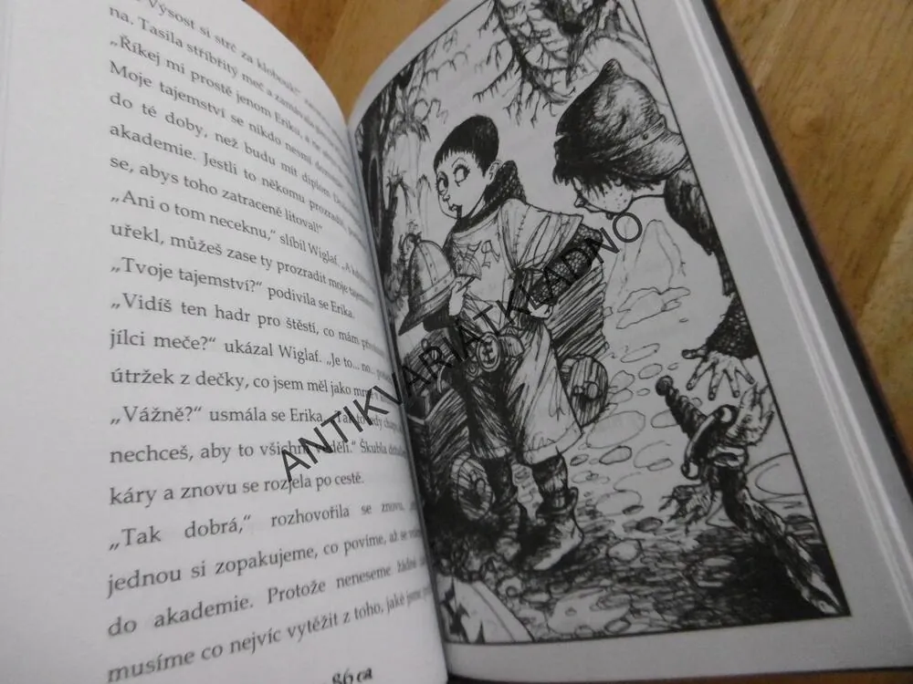 DRAKOBIJECKÁ AKADEMIE, PRVNĚ DO ŠKOLY, KATE MCMULLAN, **an