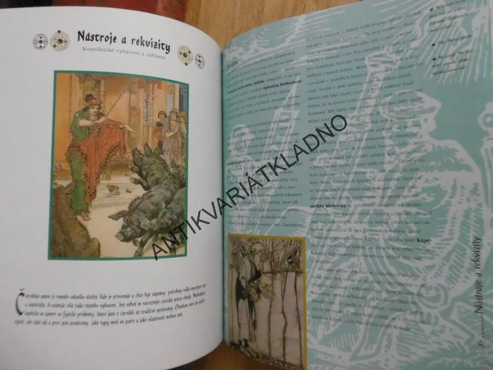 ČARODĚJOVÉ, TIM DEDOPULOS, PUTOVÁNÍ SVĚTEM KOUZEL, **an