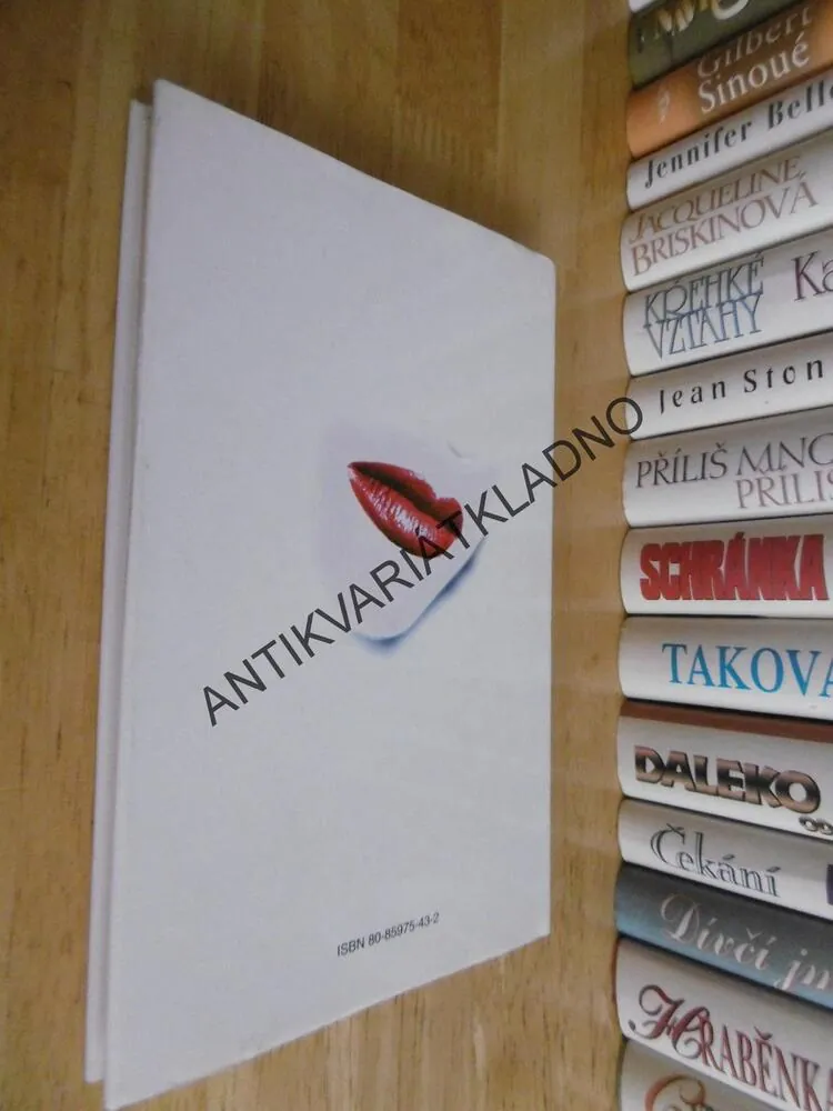 LÁSKA V JINÉM MĚSTĚ, BARBARA TAYLOR BRADFORDOVÁ, **an