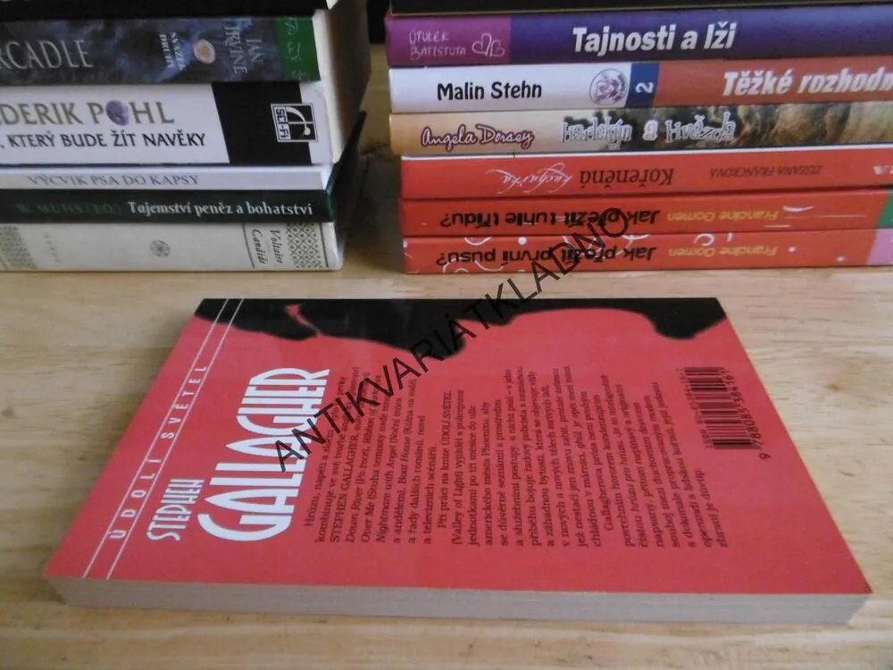 ÚDOLÍ SVĚTEL, MODERNÍ HOROR, STEPHEN GALLAGHER, **an