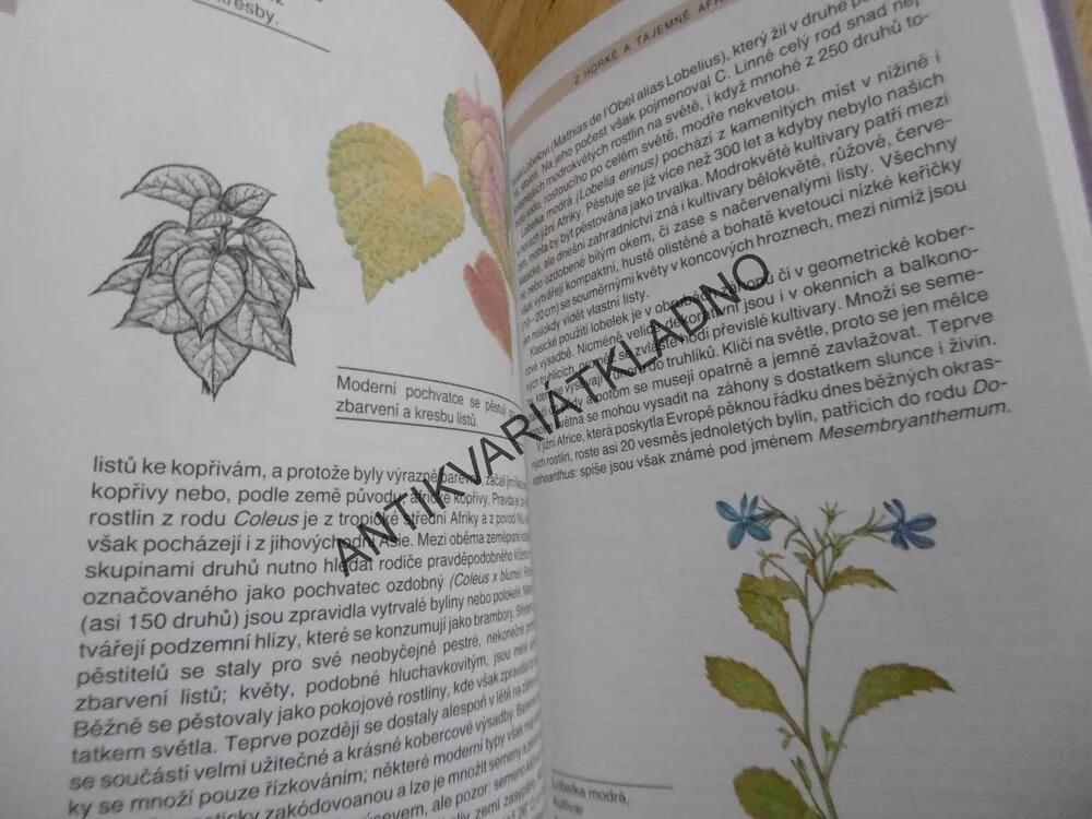 Z LUK A MEZÍ DO ZAHRADY, V. VĚTVIČKA - AUTOGRAM, M. TULÁČKOVÁ, **an