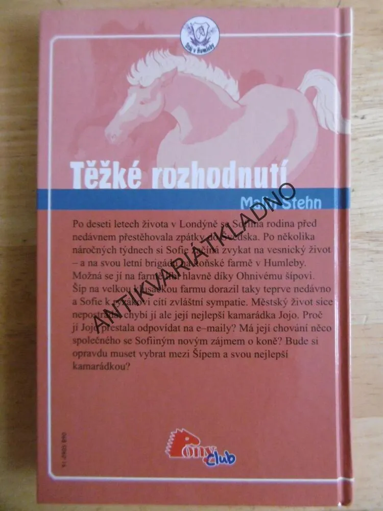 TĚŽKÉ ROZHODNUTÍ, MALIN STEHN, **an
