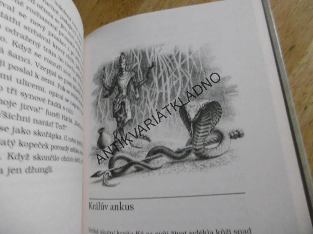 MAUGLÍ, RUDYARD KIPLING, PETR MINKA, **an