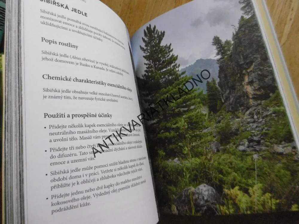 SHINRIN-YOU, LESNÍ TERAPIE PRO ZDRAVÍ A RELAXACI - INSPIRUJTE SE JAPONSKEM, PROFESOR YOSHIFUMI MIYAZAKI, **an