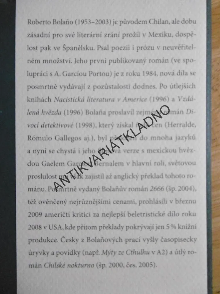 DIVOCÍ DETEKTIVOVÉ, ROBERTO BOLAÑO, **an