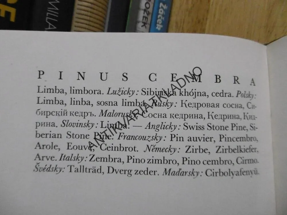 NAŠE JEHLIČINY, JAROSLAV NAUMAN, **an