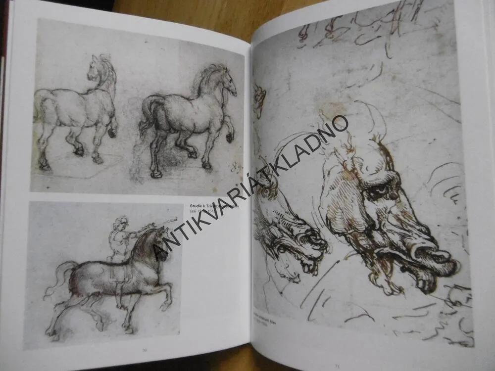 ŽIVOT A DÍLO MISTRA LEONARDA, ALFRED LUKASEY, **an