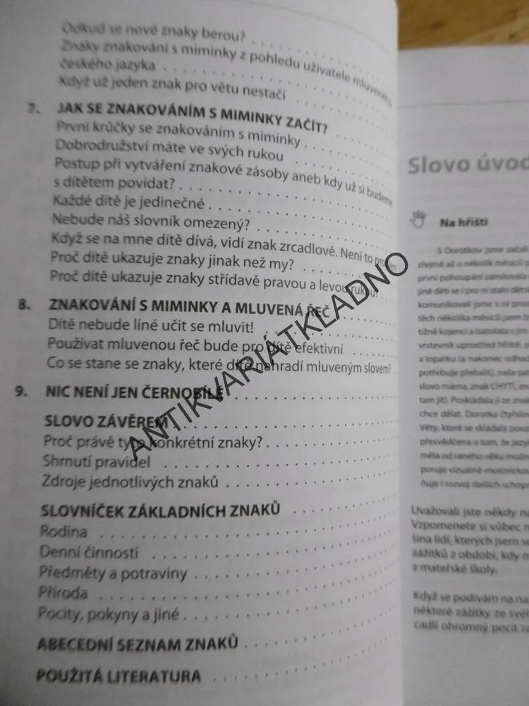 JAK SE DOMLUVIT S KOJENCEM A BATOLETEM, **an