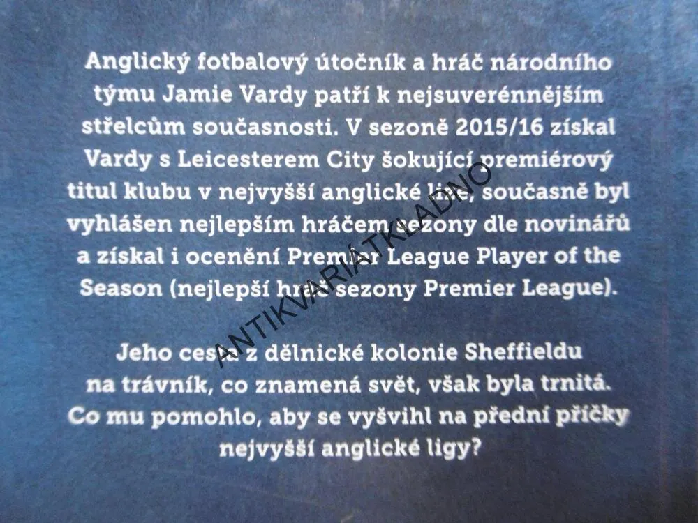 JAMIE VARDY, MLSNÁ LIŠKA, T. J. MILLNER, **an