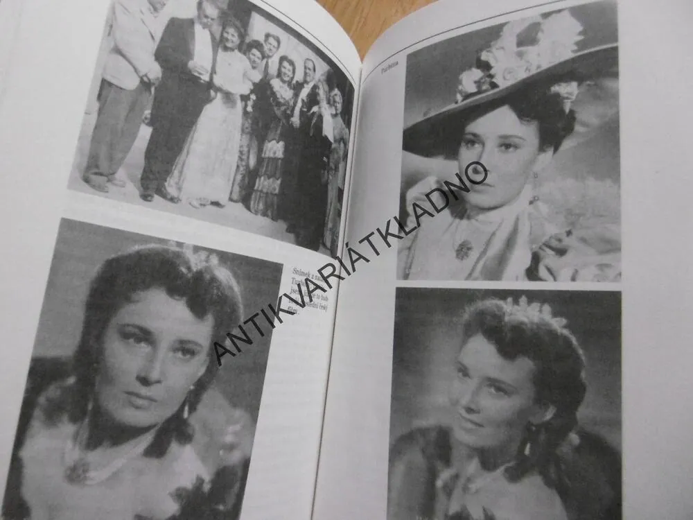 ŽIVOTA SLADKÉ HOŘKOSTI, LÍDA BAAROVÁ, **an