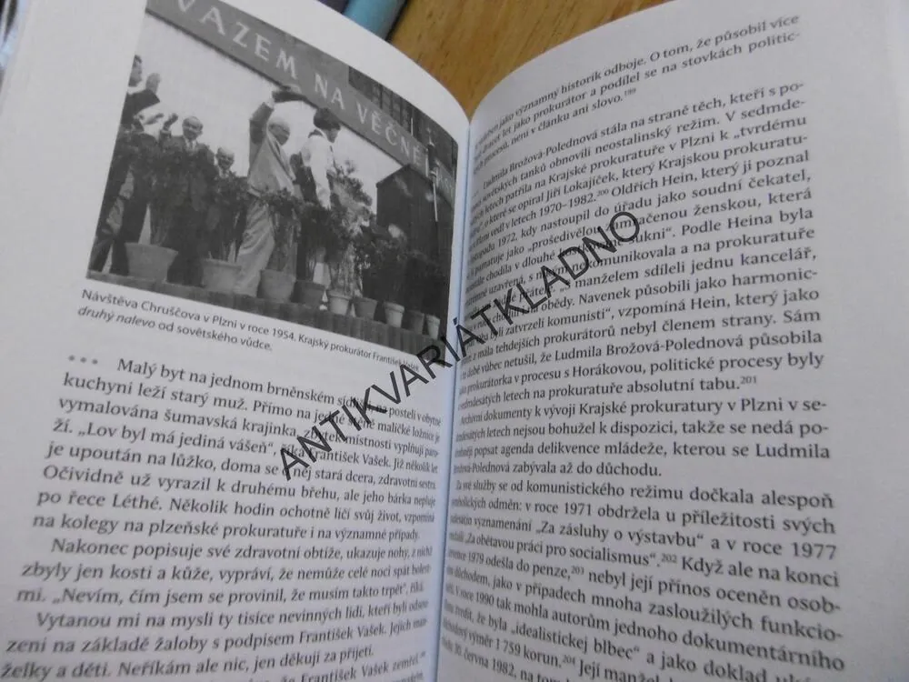 PŘÍBĚH HEREČKY, DĚLNICKÁ PROKURÁTORKA LUDMILA BROŽOVÁ A JEJÍ SVĚT, PETR ZÍDEK, **an