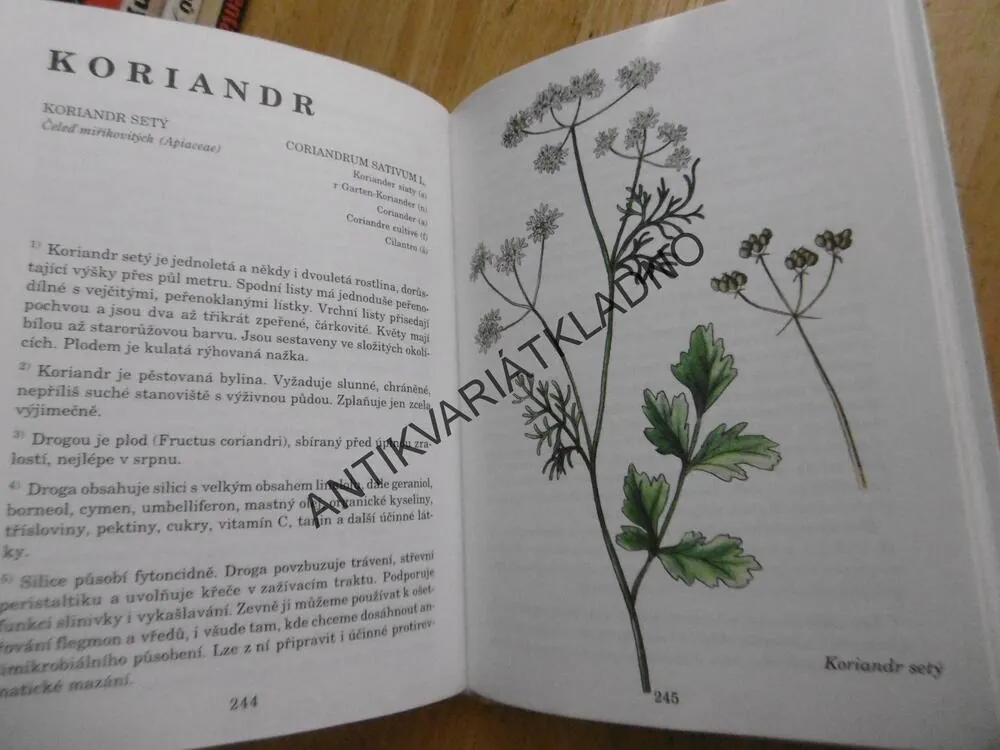 HERBÁŘ LÉČIVÝCH ROSTLIN 2., JIŘÍ JANČA, **an