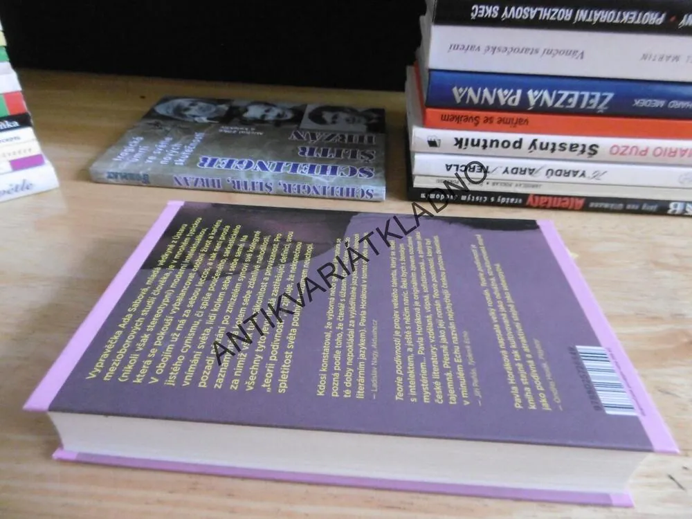 TEORIE PODIVNOSTI, PAVLA HORÁKOVÁ, **an