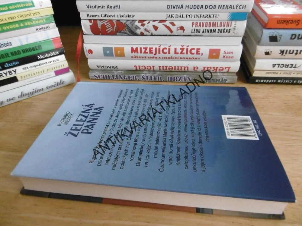ŽELEZNÁ PANNA, RICHARD MEDEK, **an