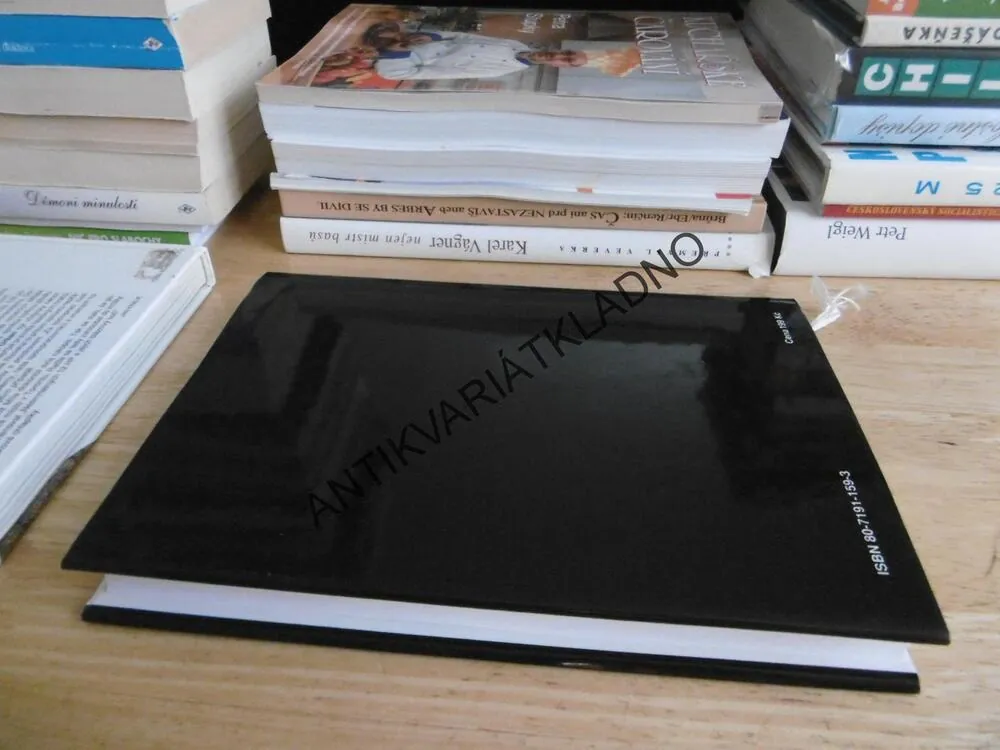 PRÁZDNINY V HEIDELBERGU, DAVID LODGE, **an