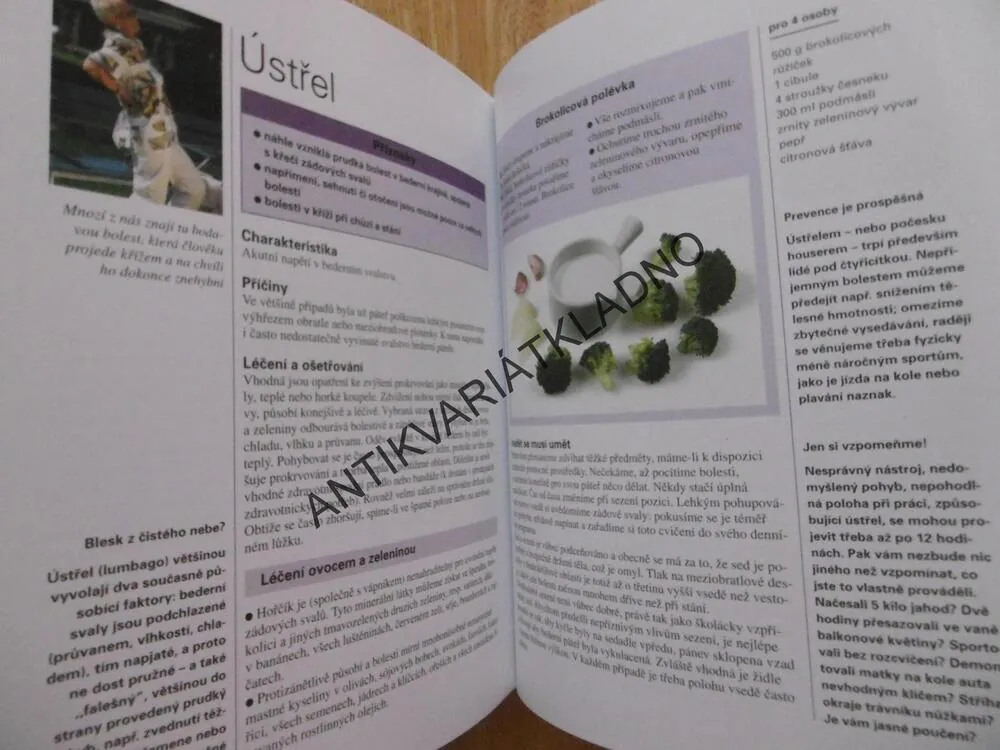 OVOCE A ZELENINA JAKO LÉK, **an