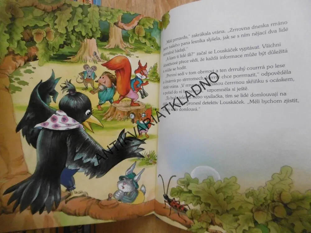 DETEKTIV LOUSKÁČEK LOUSKÁ LESNÍ ZÁHADY, CHRISTINE RETTL, ALEKSANDRA A ALEKSANDER, **an