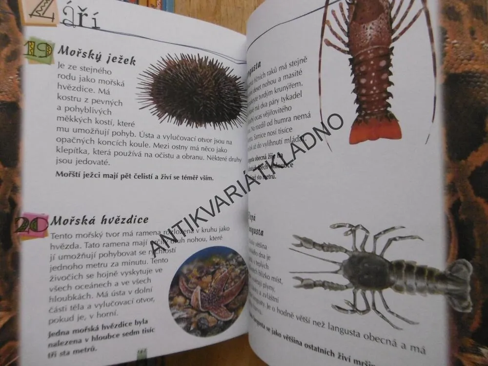 365 ZAJÍMAVOSTÍ O ZVÍŘATECH, MARIA JOSÉ VALERO, FRANCISCO ARREDONDO, **an