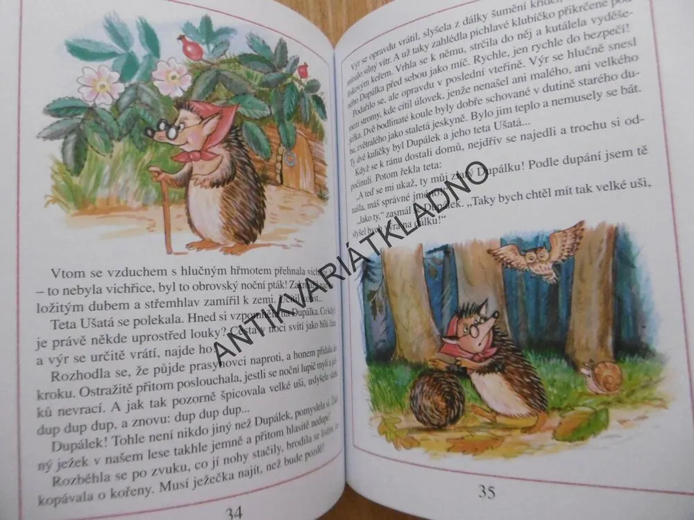 DUPÁLEK, PŘÍHODY MALÉHO JEŽKA, EVA BEŠŤÁKOVÁ, ANTONÍN ŠPLÍCHAL, **an