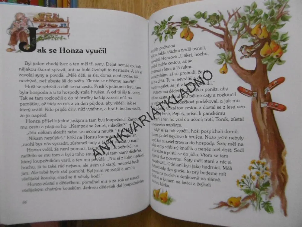 DLOUHÝ, ŠIROKÝ A BYSTROZRAKÝ, IRENA ŠMALCOVÁ, **an