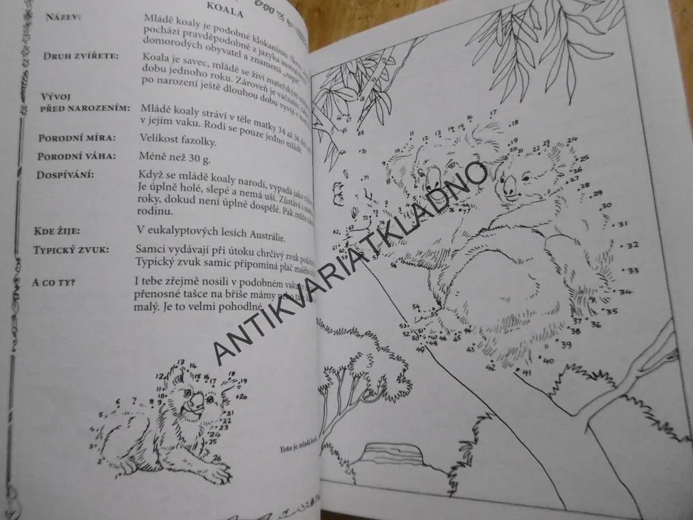 SKOTAČIVÁ MLÁĎATA, SPOJ, POZNEJ A VYBARVI SI, **an