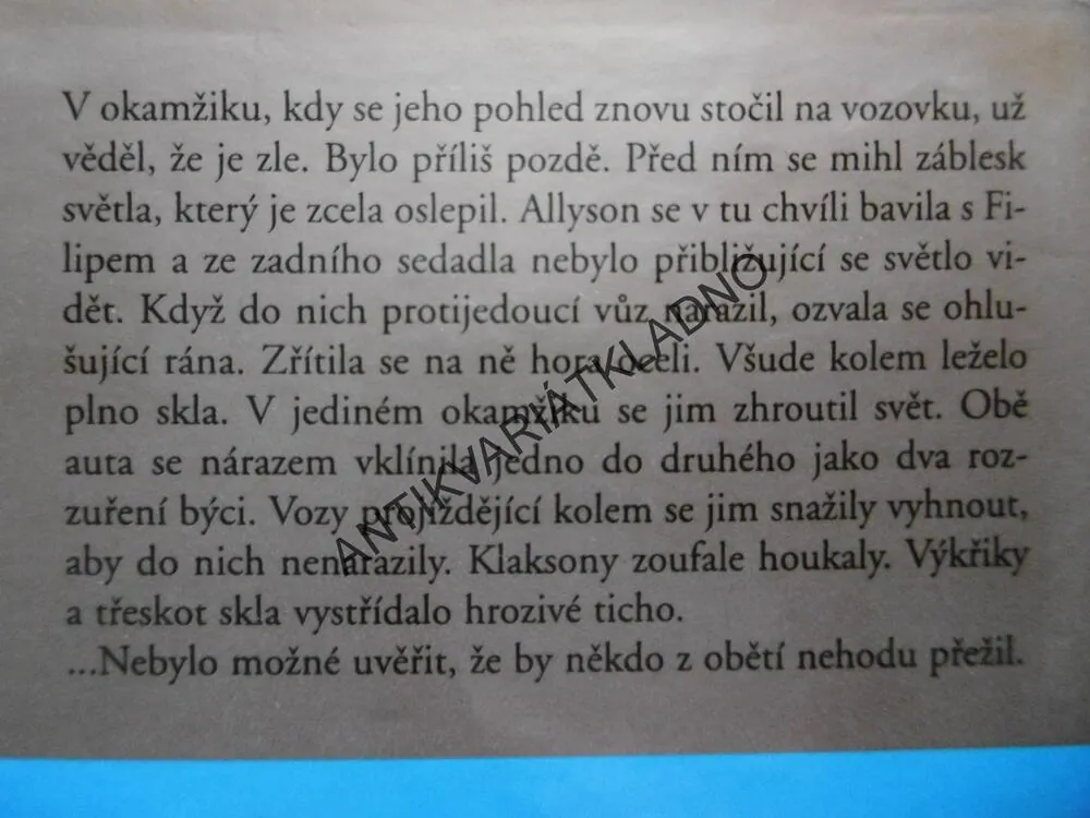 NEHODA, DANIELLE STEEL, **an