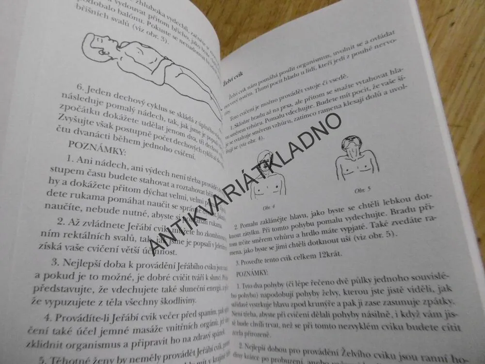 TAJEMSTVÍ ŠTÍHLOSTI, STEPHEN T.CHANG, **an