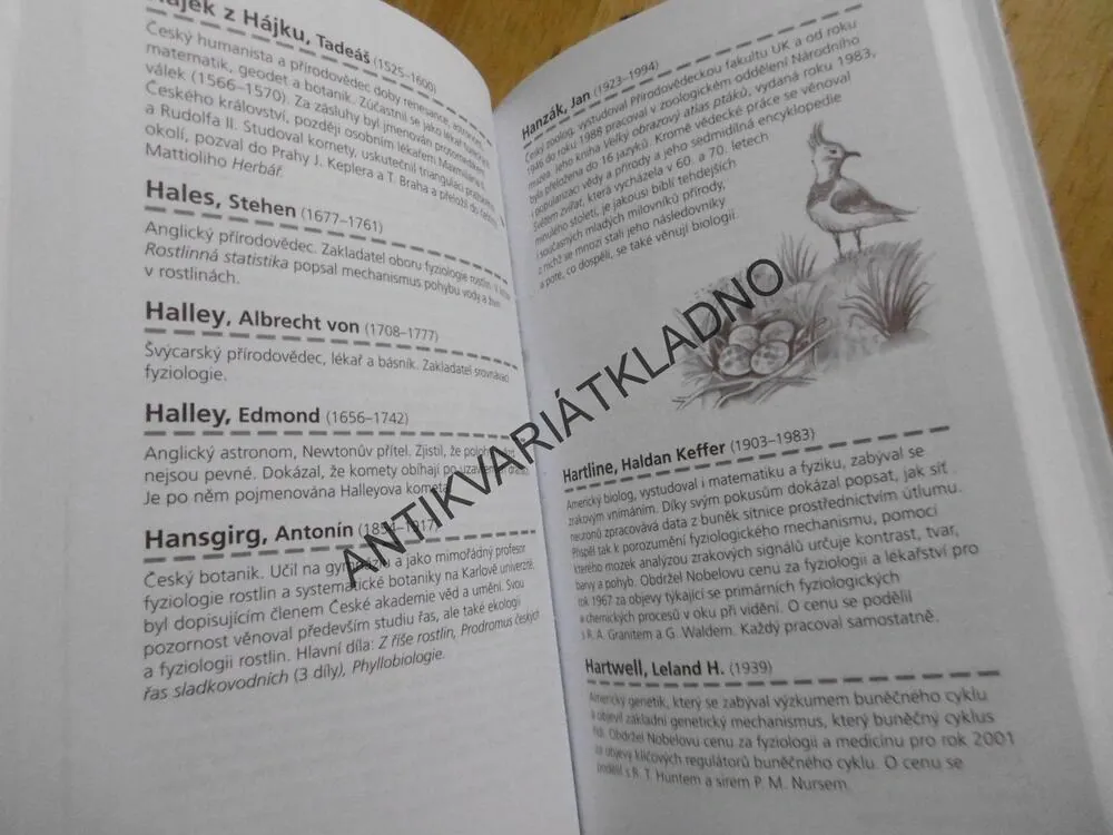 DRUHÝ ROZUM POD LAVICÍ, KATEŘINA ŠEVČÍKOVÁ, **an