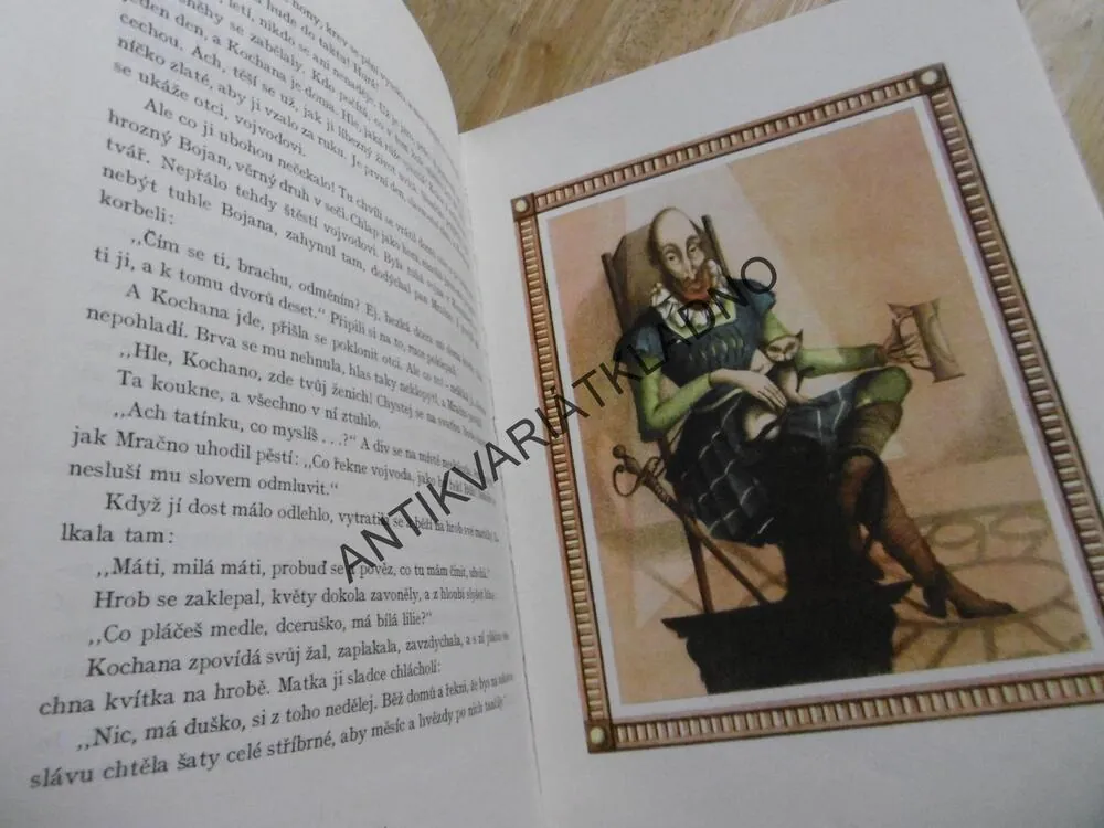 ZÁHON ROZMARÝNKY, JOSEF ŠTEFAN KUBÍN, **an
