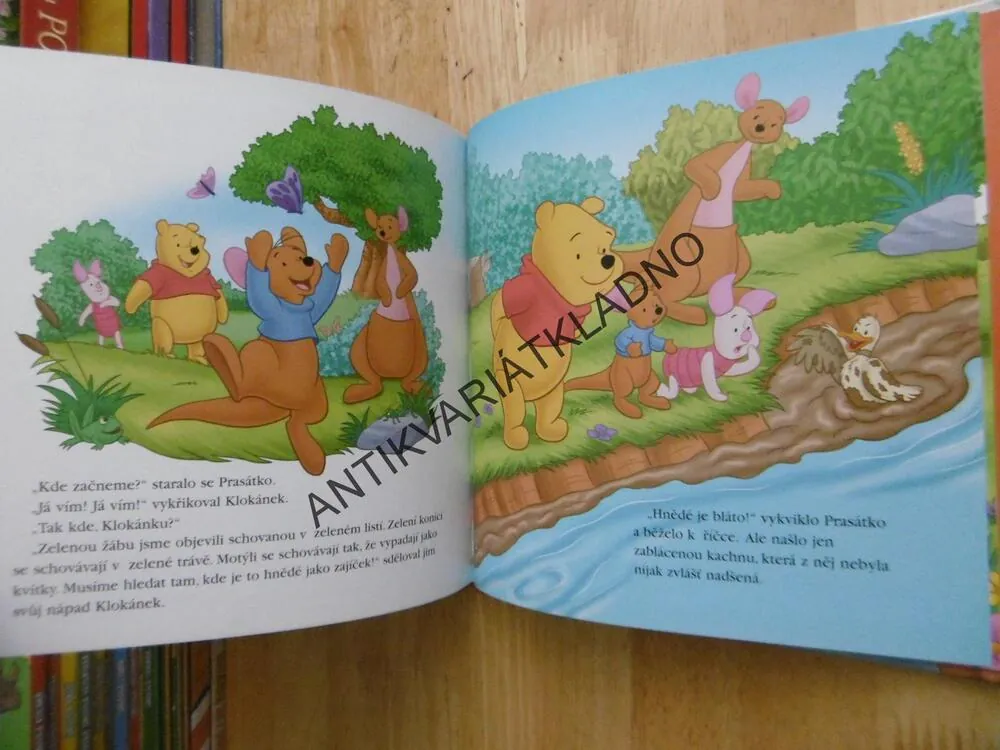 KDO SE TU SCHOVÁVÁ, MEDVÍDEK PÚ, **an