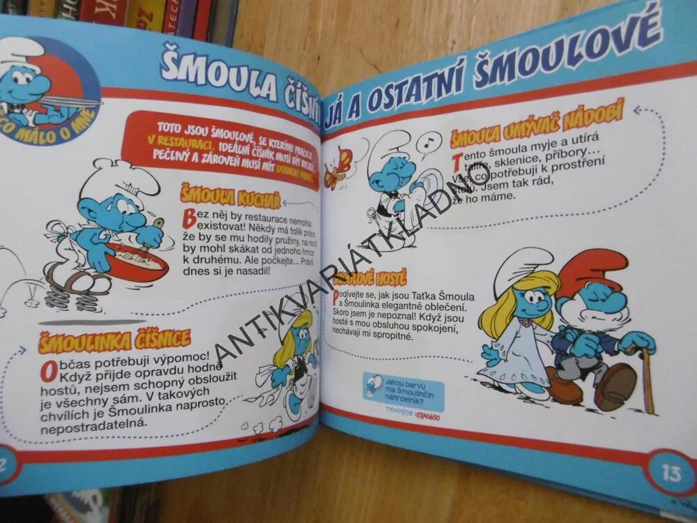 ŠMOULA ČÍŠNÍK 20, ŠMOULOVÉ, **an
