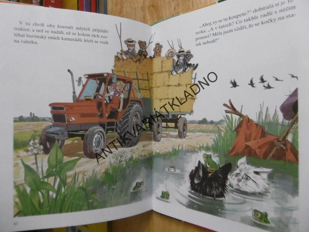 TEREZKA A JEJÍ KAMARÁDI, **an