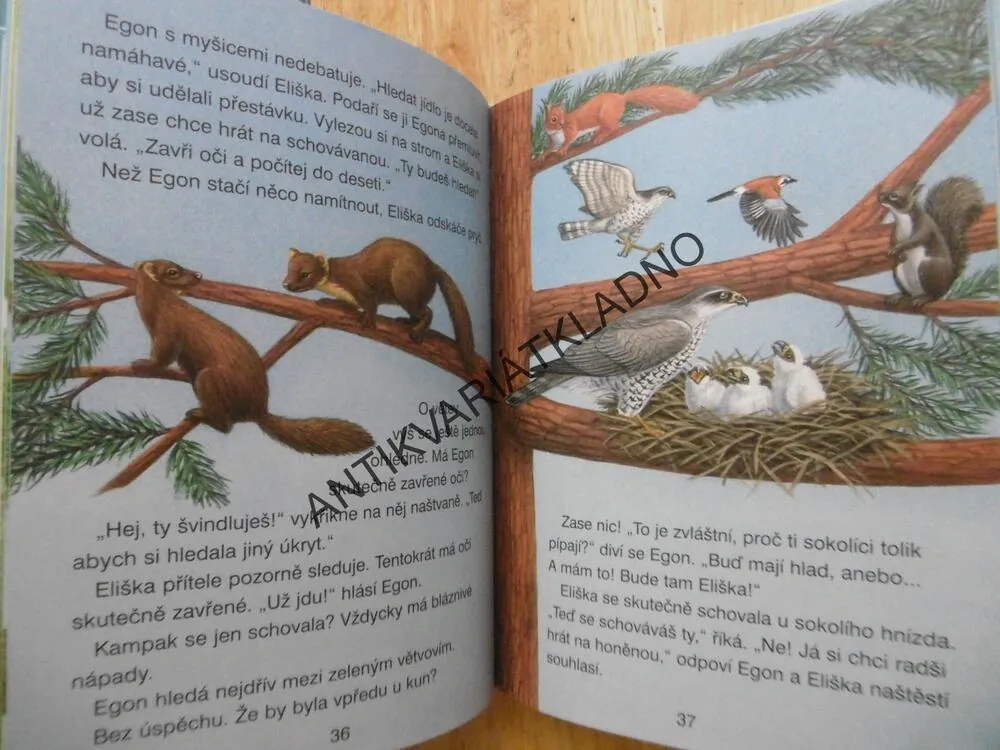 PRVNÍ ČTENÍ O ZVÍŘÁTKÁCH S VELKÝMI PÍSMENY, **an