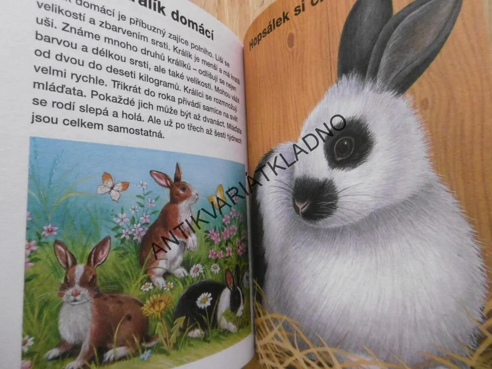 NEJHEZČÍ PŘÍBĚHY Z NAŠEHO STATKU, **an